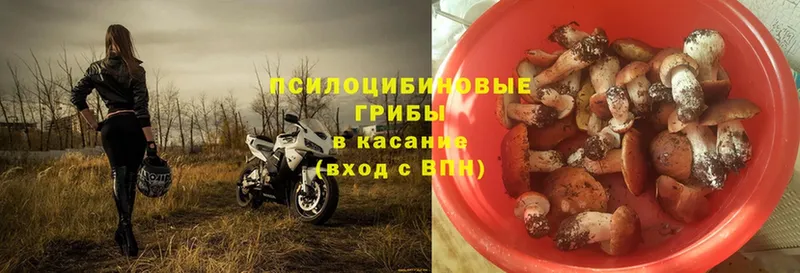 ссылка на мегу как зайти  Тосно  Галлюциногенные грибы прущие грибы 